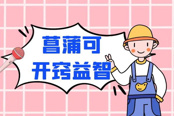  菖蒲的功效与作用及禁忌有哪些？