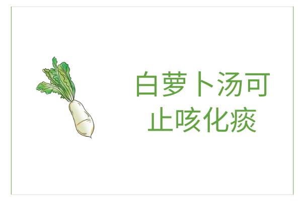  白萝卜汤的功效与作用及禁忌