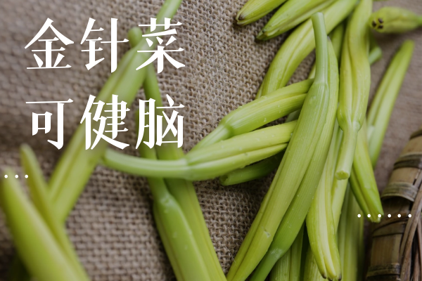  金针菜的功效与作用及禁忌有哪些？