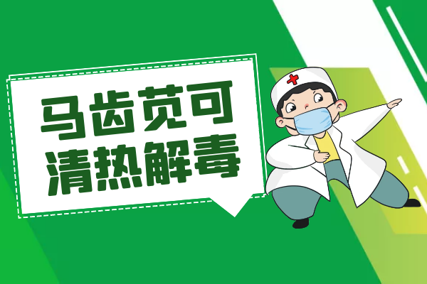  关于马齿苋的功效与作用及禁忌你了解多少？