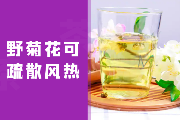  野菊花的功效与作用及禁忌有哪些？