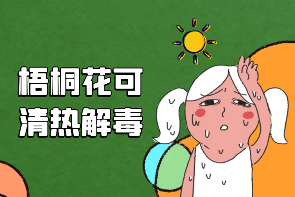  梧桐花的功效与作用及禁忌