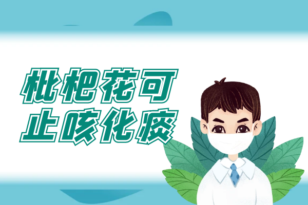  关于枇杷花的功效与作用及禁忌你了解多少？