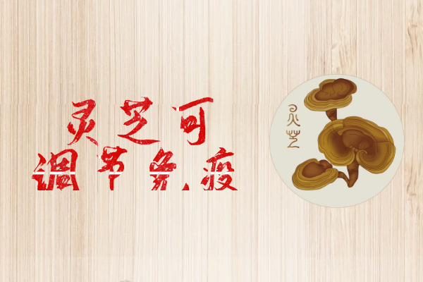 灵芝的功效与作用及禁忌有哪些？