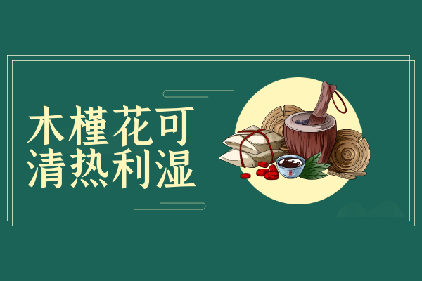  木槿花的功效与作用及禁忌有哪些？