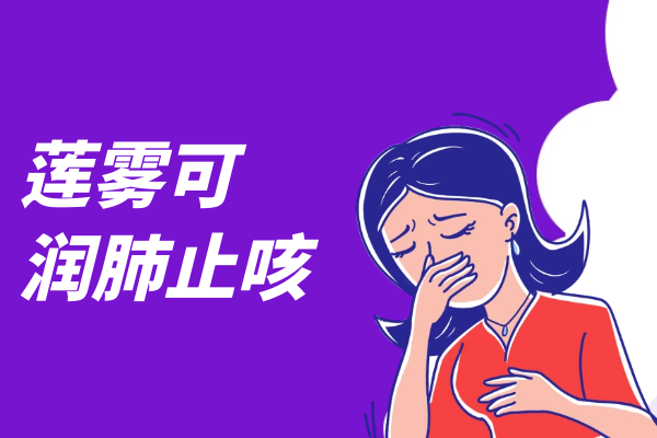  莲雾的功效与作用及禁忌有哪些？