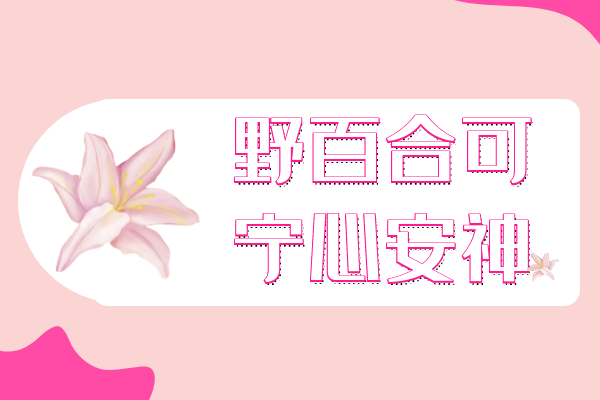  野百合的功效与作用及禁忌有哪些？