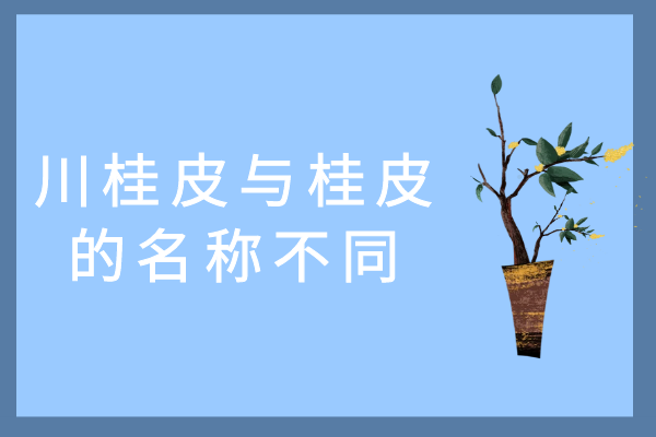  川桂皮和桂皮有什么区别？