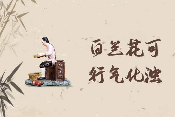  白兰花的功效与作用及禁忌