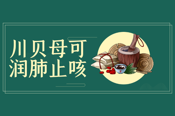  川贝母的功效与作用及禁忌有哪些？
