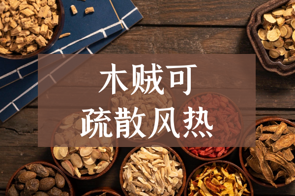  木贼的功效与作用及禁忌有哪些？