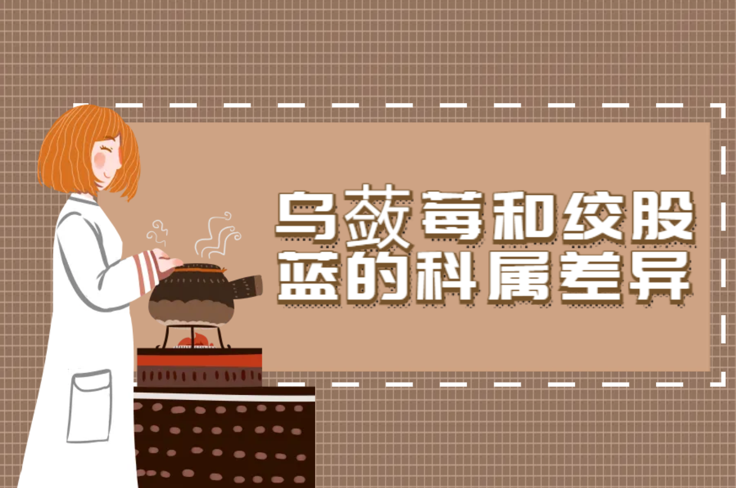  乌蔹莓和绞股蓝的区别有哪些？两者有这些不同之处