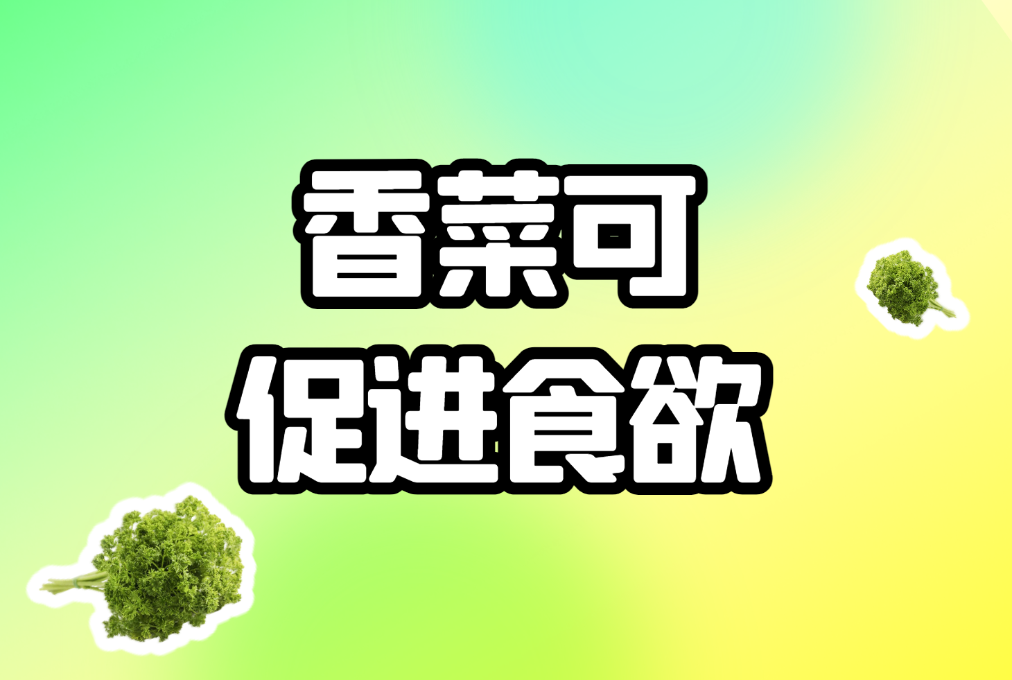 香菜的功效与作用及禁忌