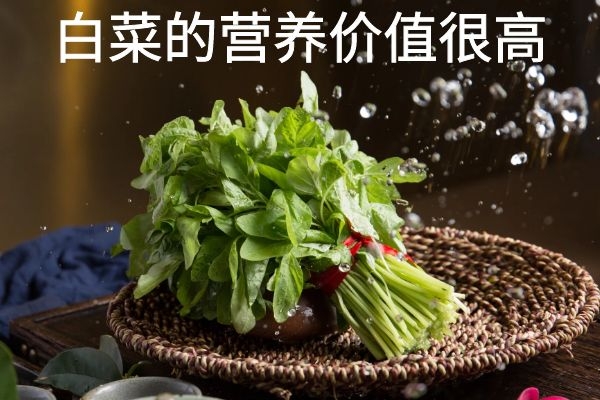  白菜的营养价值与功效作用是什么？最后一种你肯定不知道