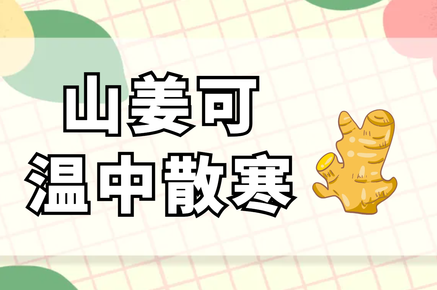  山姜的功效与作用及禁忌