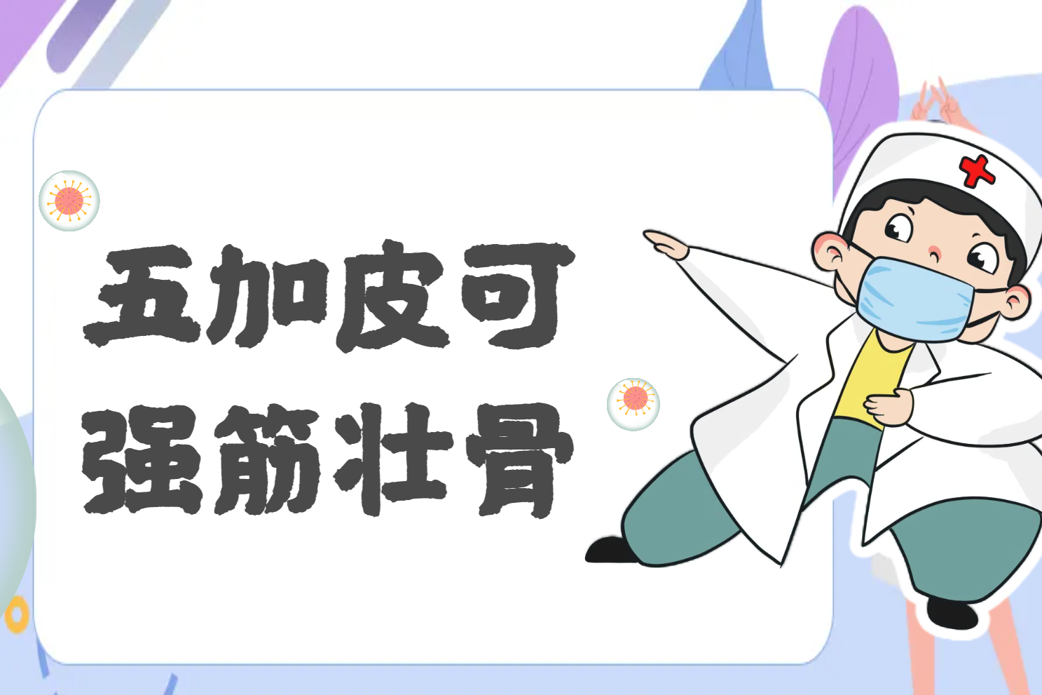  五加皮的功效与作用及禁忌