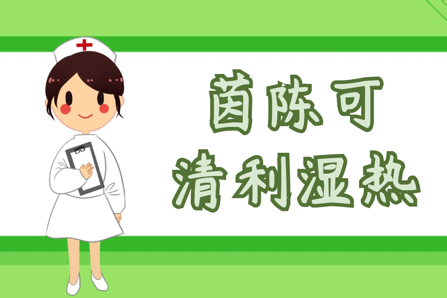  茵陈的功效与作用及禁忌