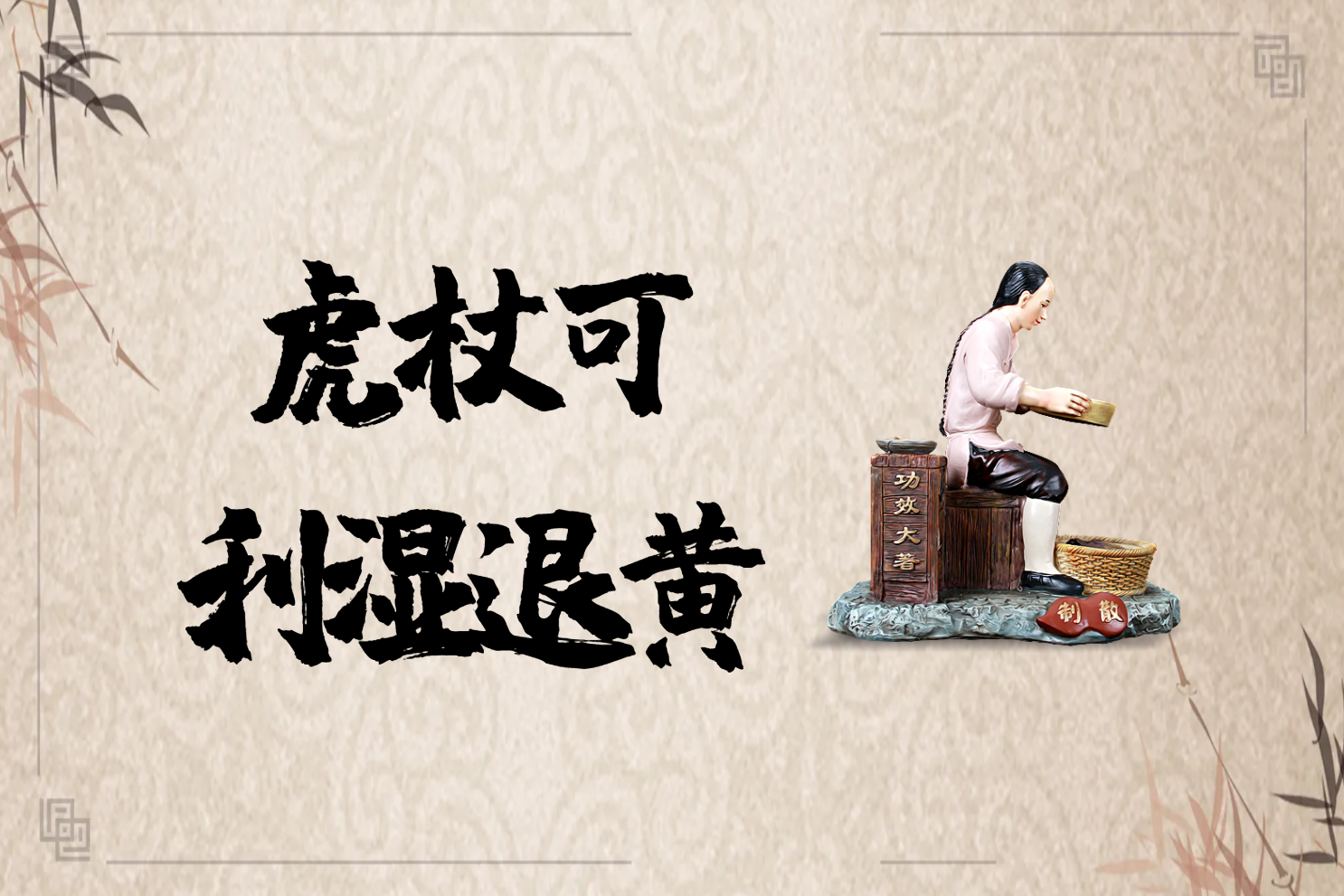  虎杖的功效与作用及禁忌