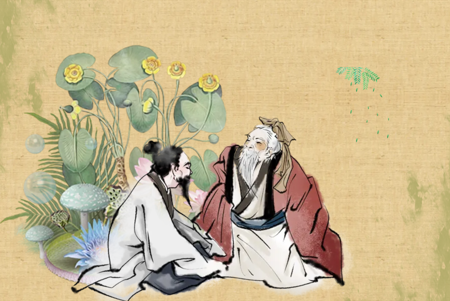  侧柏壳的功效与作用及禁忌