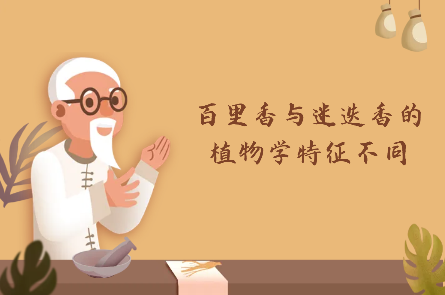  百里香与迷迭香的区别有哪些？两者有这些不同之处