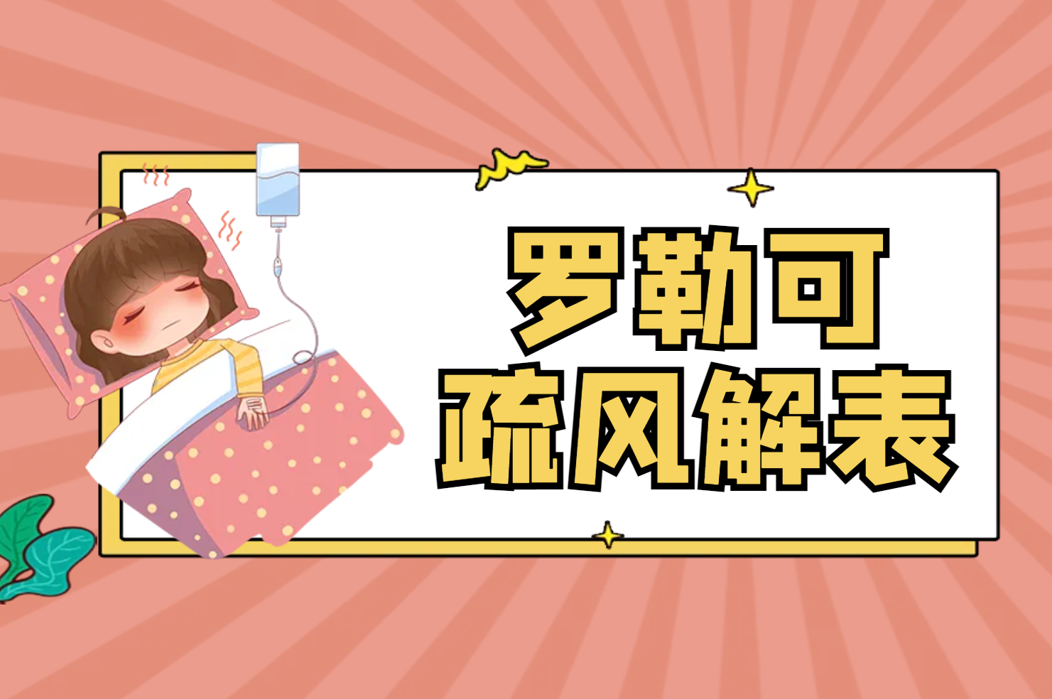  罗勒的功效与作用及禁忌