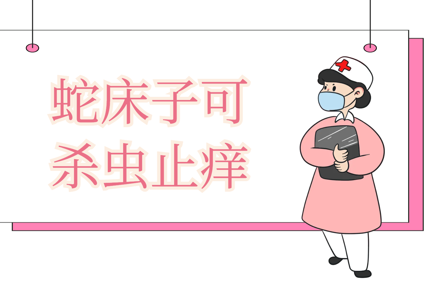  蛇床子的功效与作用及禁忌