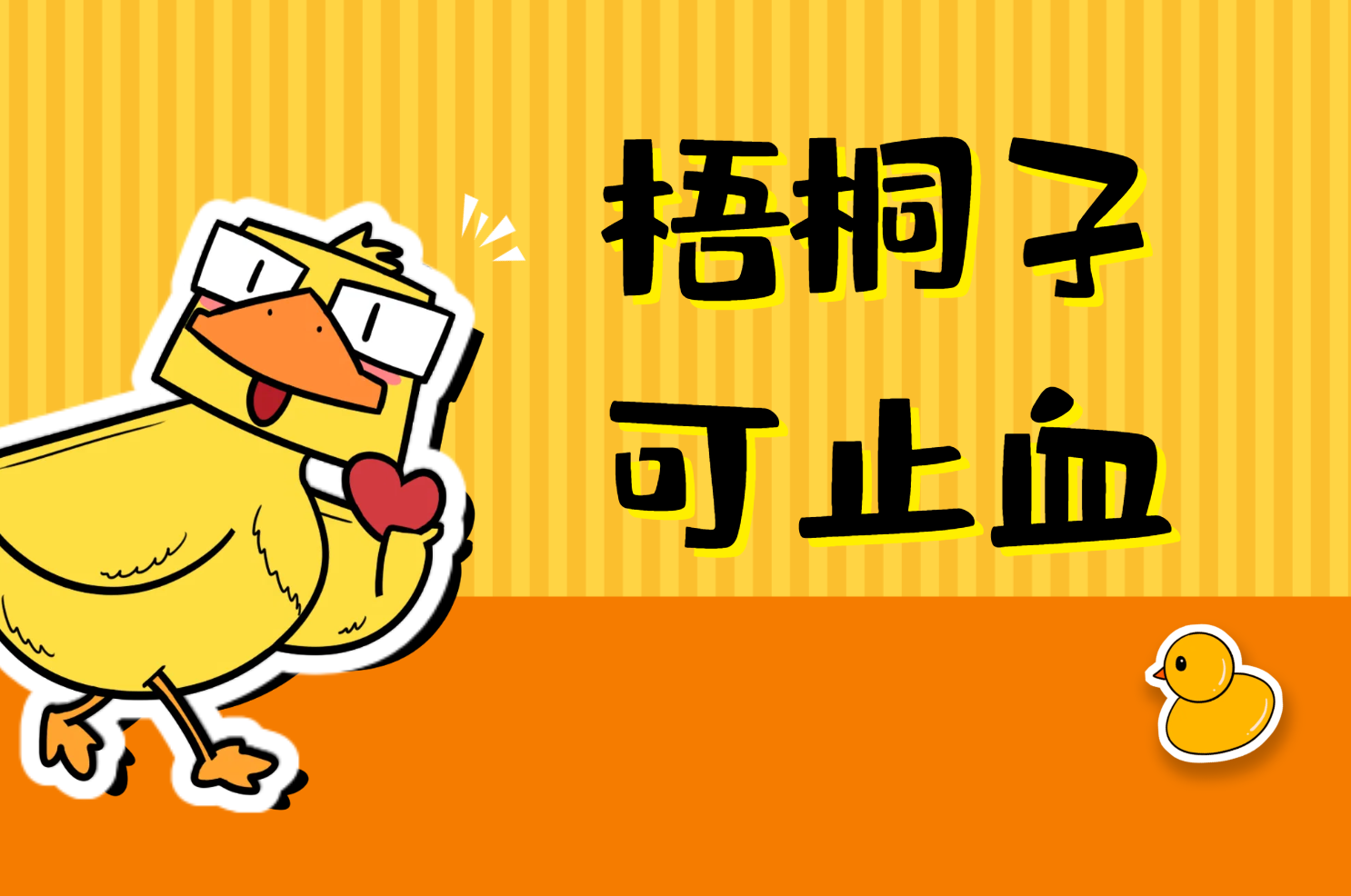  梧桐子的功效与作用及禁忌