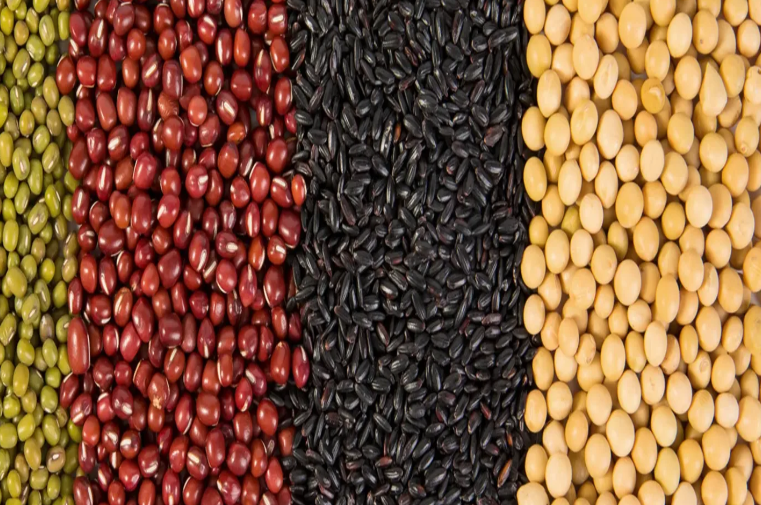  黑米粥与小米粥哪个营养价值更高？