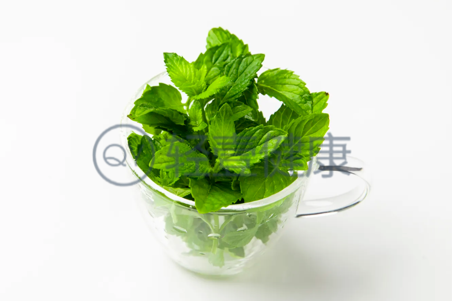  藿香与薄荷的区别有哪些？两者有这些不同之处