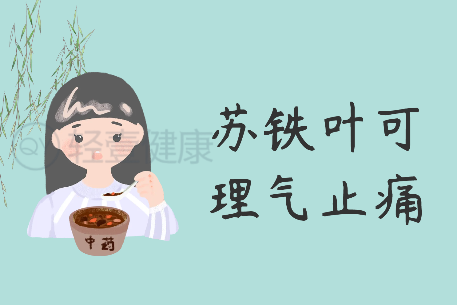  苏铁叶的功效与作用及禁忌