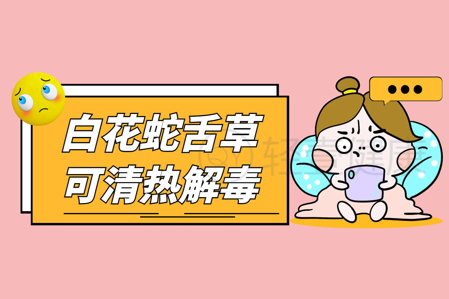  白花蛇舌草的功效与作用及禁忌