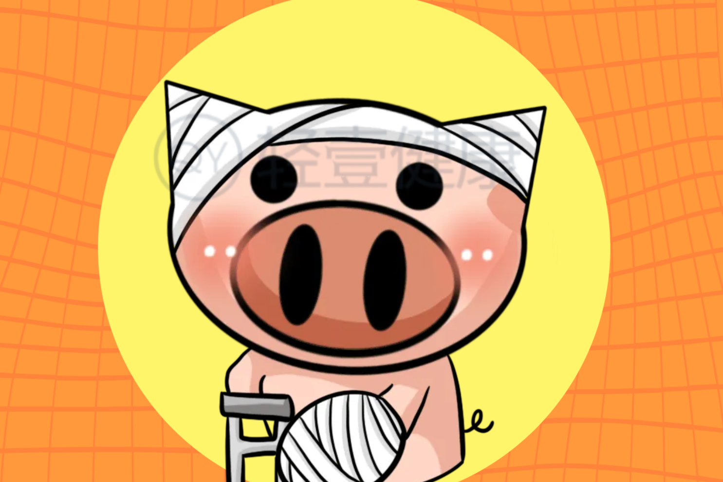  三角梅的功效与作用及禁忌