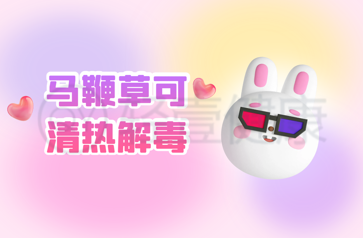  马鞭草的功效与作用及禁忌