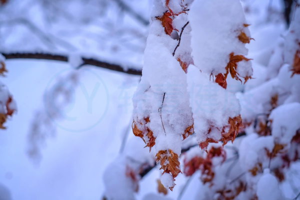  冬季养生正当时！冬季怎么补肺？