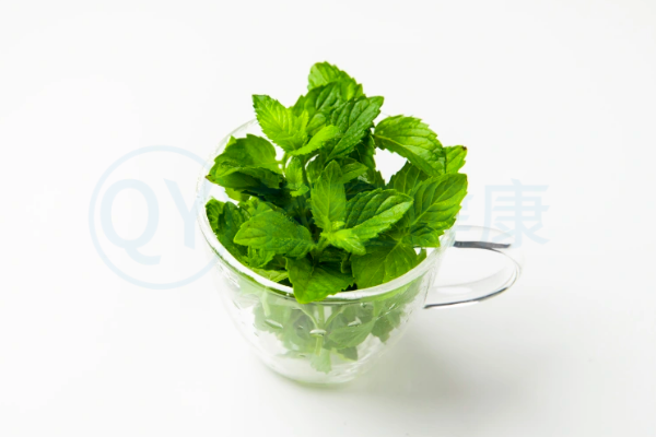  黄瓜薄荷茶的功效与作用及禁忌有哪些？