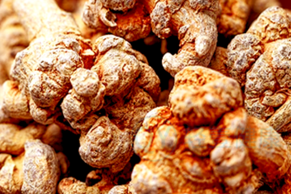  申公豹的药材清单（1）——三七