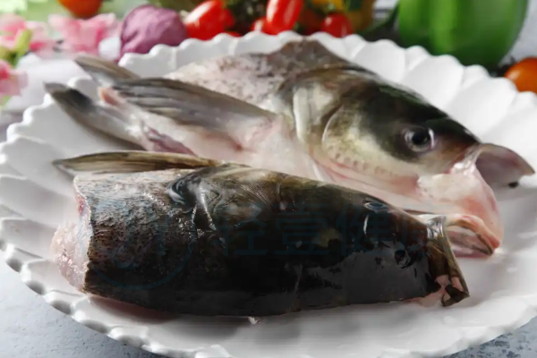  雄鱼头的功效与作用及禁忌有哪些？