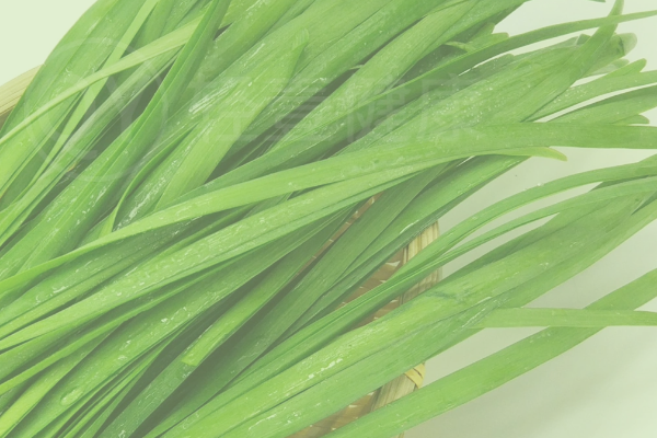  韭菜怎么做好吃？韭菜食谱推荐