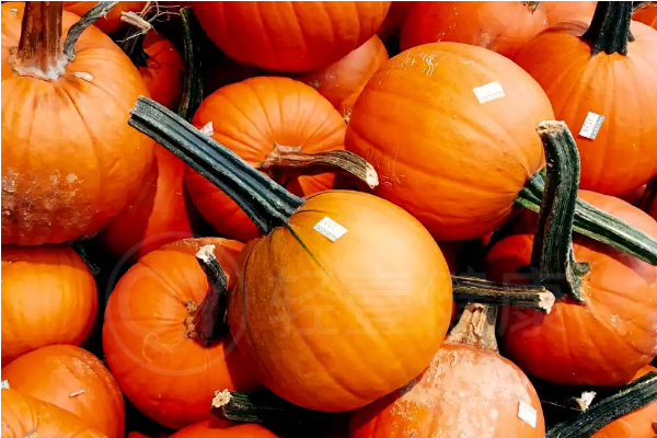  慢性萎缩性胃炎吃什么？