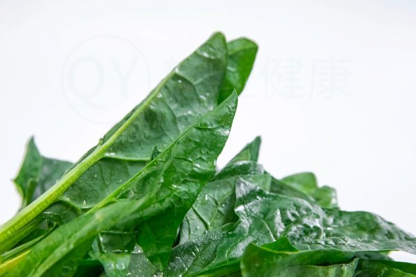  菠菜食谱推荐