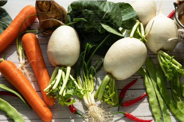  苦苣菜食疗方推荐