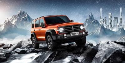 魏派300越野版价格多少钱