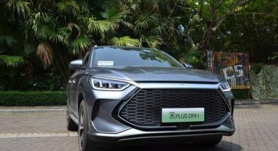 国产新能源汽车排名前十名及价格，电动汽车十大名牌