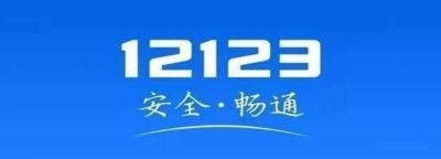 12123怎么查驾驶证档案编号