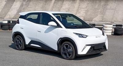 比亚迪海鸥6万带快充吗？比亚迪海鸥缺点是什么