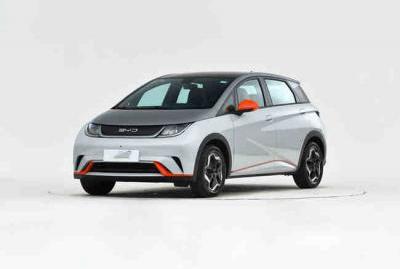 比亚迪海豚纯电动2022款最低报价 最低落地价格