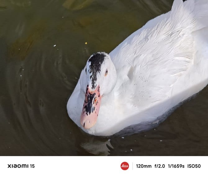 小米15手机值得入手吗 小米15手机详细评测