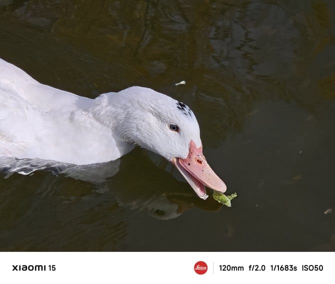 小米15手机值得入手吗 小米15手机详细评测