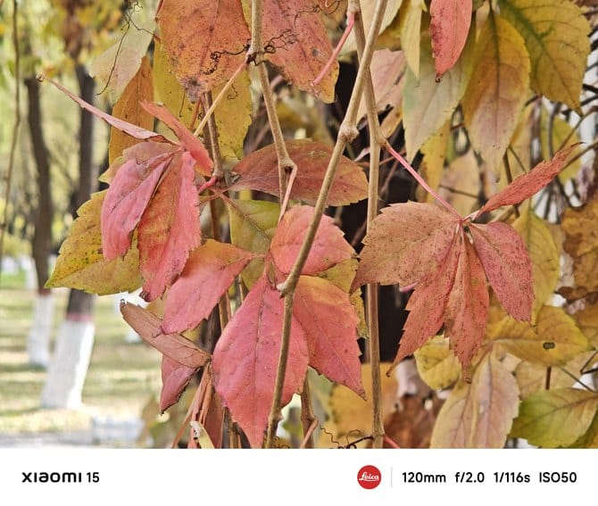 小米15手机值得入手吗 小米15手机详细评测