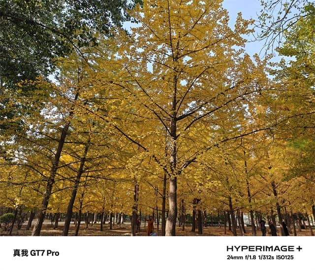 真我GT7 Pro体验怎么样 真我GT7 Pro体验评测